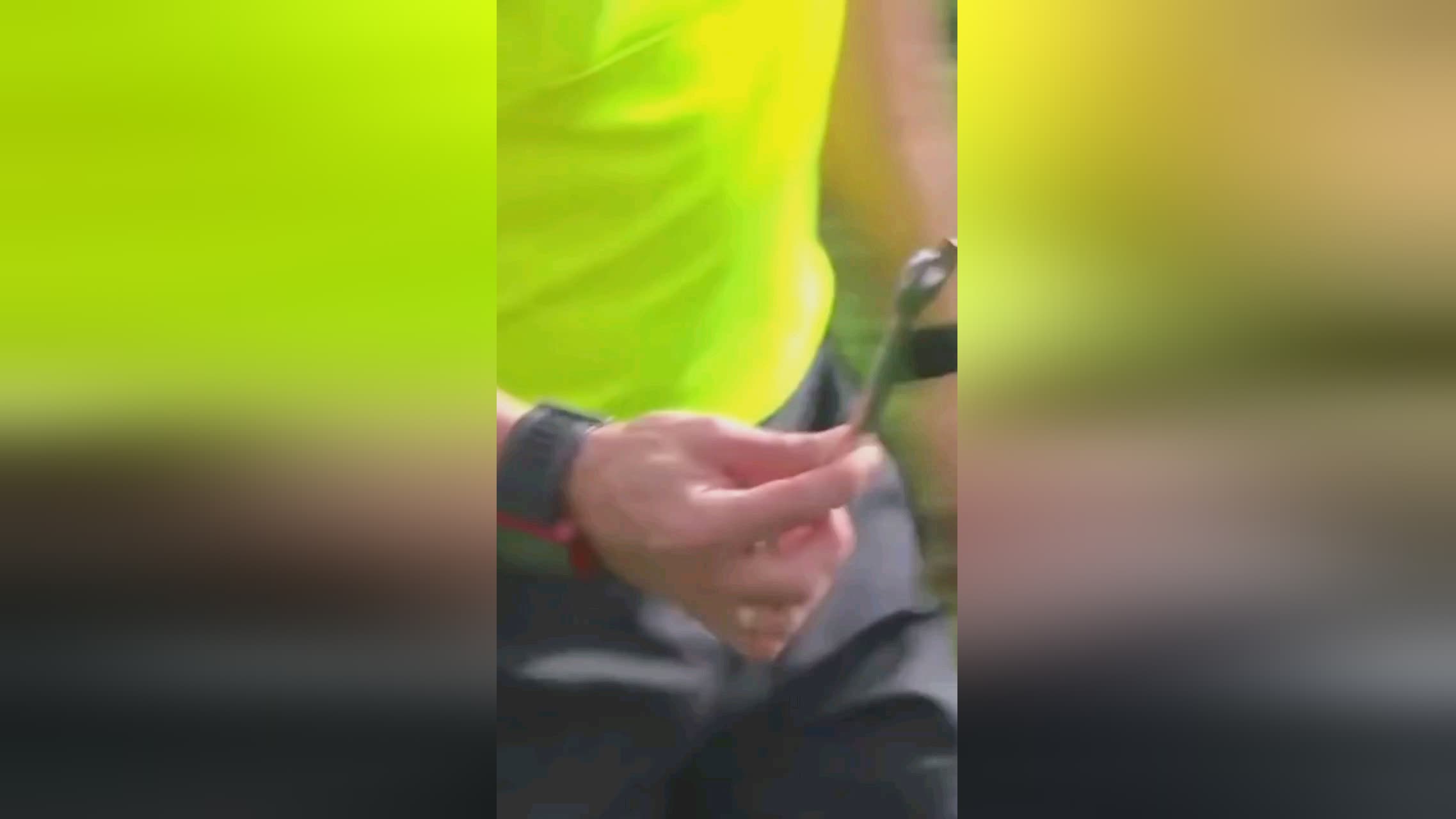 为莱